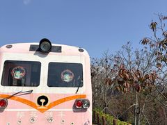 -小南山公园