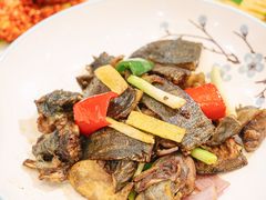 -有腥气私房菜·寻味顺德