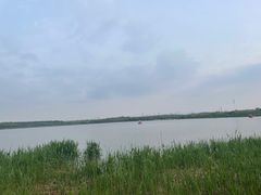 -西青郊野公园