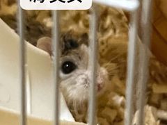 -解个谜沉浸剧情密室(天河店)