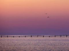 -青海湖仙女湾景区