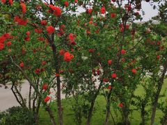 -长安大学(北校区)