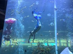 -太平洋海底世界