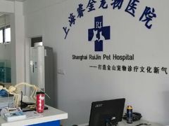 android_upload_pic-睿金宠物医院·CT·肿瘤·骨外科