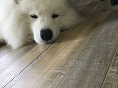 -鱼桥巷·美学川菜