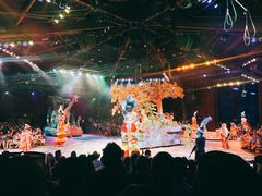 -奥兰多迪士尼动物王国乐园