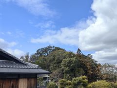-奈良公园