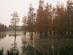 -白鹭湾湿地公园