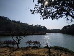 -南国桃园旅游度假区