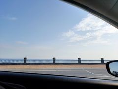 -合肥滨湖国家森林公园