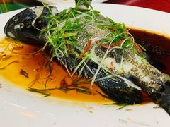 -田园山庄农家乐(石岩店)