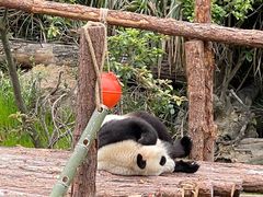 -宁波野生动物园