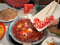 -渝大龙重庆火锅(温泉月亮湾店)