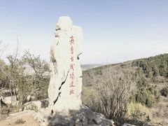 -原山国家森林公园