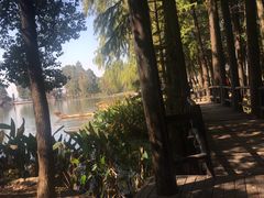 -东湖落雁景区