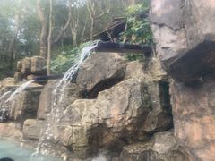 -宁海森林温泉