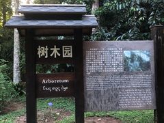 -中国科学院西双版纳热带植物园