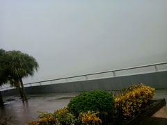 望海-大湾区中央湿地公园