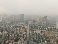 -339旋转餐厅(天府熊猫塔店)