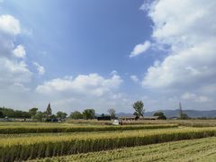-良渚古城遗址公园