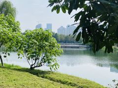 -后襄河公园