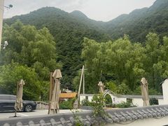-王顺山国家森林公园