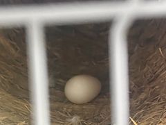 -老东吴食府(雅都店)