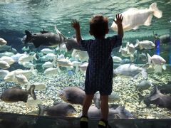 -成都浩海立方海洋公园