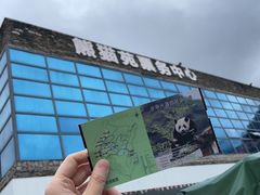-卧龙中华大熊猫苑神树坪基地