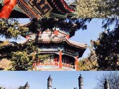-颐和园