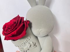 -ROSEONLY诺誓(广州K11店)