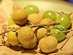-季季山•云南野生菌火锅(上海首店)