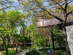 -陈家山荷花公园
