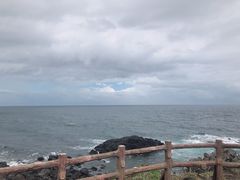 -涉地可支