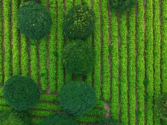 -帐篷客·溪龙茶谷度假酒店