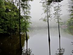 -广州市石门国家森林公园