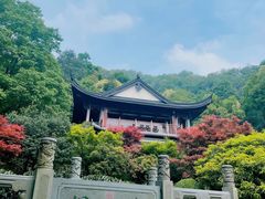 -十八棵（老龙井）御茶园(老龙井店)