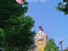 -花博汇(知音花月夜)