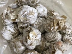 -熊大爷现包饺子(和平里店)