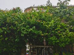 -西涌国际滨海旅游区