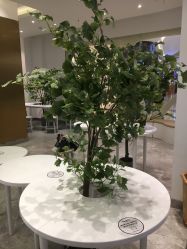 点击看大图 -多奇妙儿童乐园(昆山吾悦店)