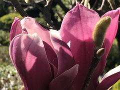 景点-洛龙公园