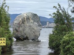-洱海月湿地公园