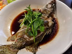 清蒸桂鱼-盒马鲜生(莱蒙都会店)