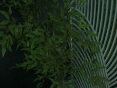 -华夏良子·足道SPA艾灸(金皇大厦店)