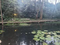 -广州兰圃