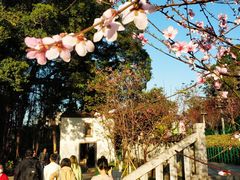 -乌山风景区