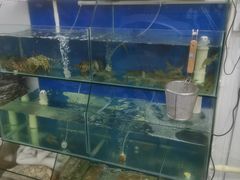 水产区-老闽味姜母鸭·煎蟹闽菜餐厅(曾厝垵地标店)