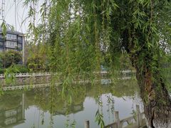 -东水关遗址公园