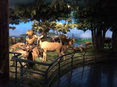 -国家自然博物馆